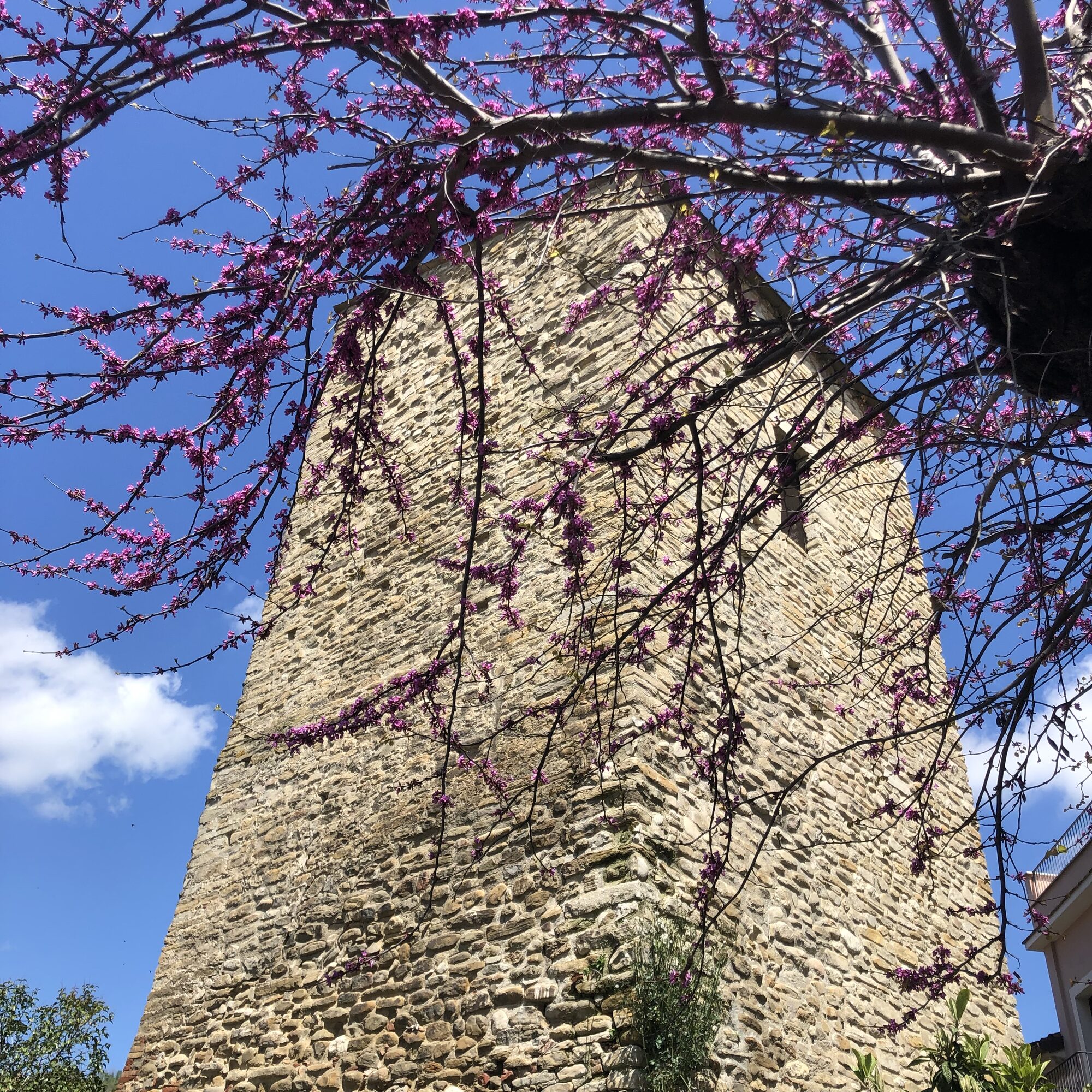 Borgo di Bisenti